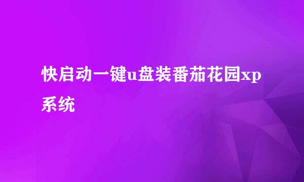 快启动一键u盘装番茄花园xp系统
