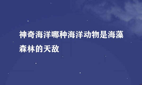 神奇海洋哪种海洋动物是海藻森林的天敌