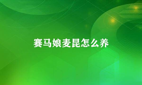 赛马娘麦昆怎么养