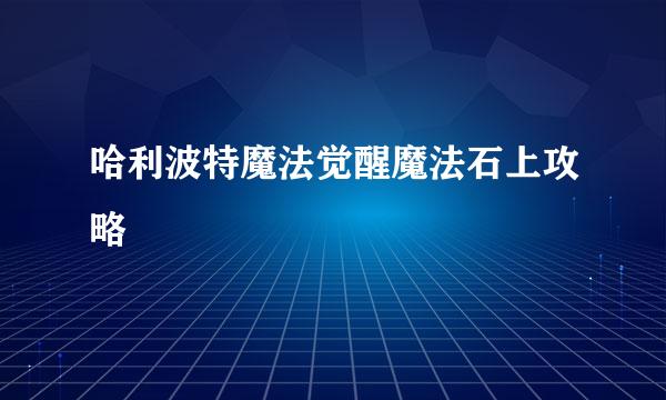 哈利波特魔法觉醒魔法石上攻略