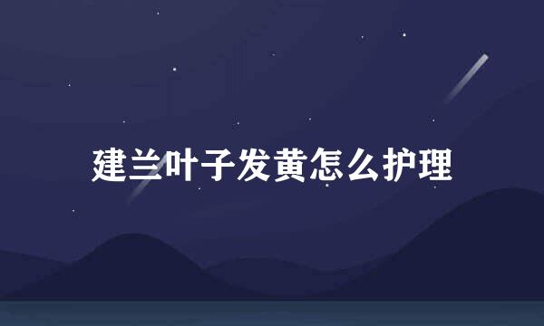 建兰叶子发黄怎么护理