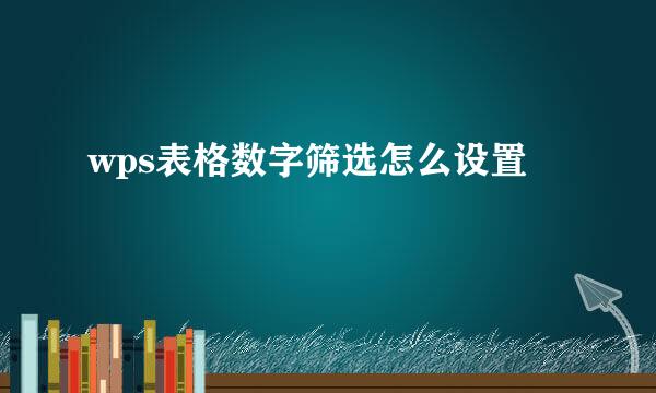 wps表格数字筛选怎么设置
