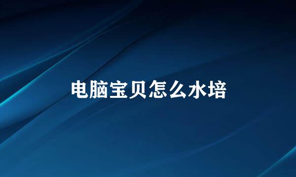 电脑宝贝怎么水培