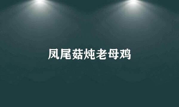 凤尾菇炖老母鸡