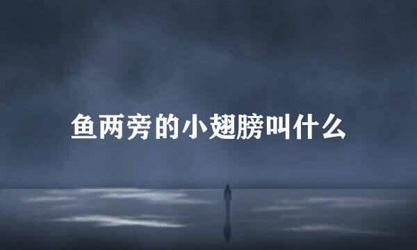 鱼两旁的小翅膀叫什么