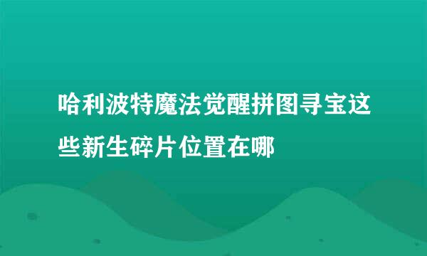 哈利波特魔法觉醒拼图寻宝这些新生碎片位置在哪