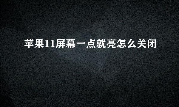 苹果11屏幕一点就亮怎么关闭
