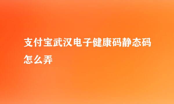 支付宝武汉电子健康码静态码怎么弄