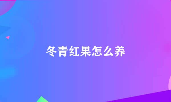 冬青红果怎么养