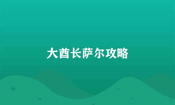 大酋长萨尔攻略
