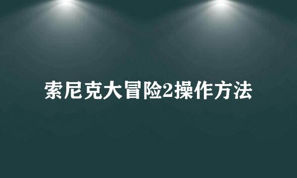 索尼克大冒险2操作方法