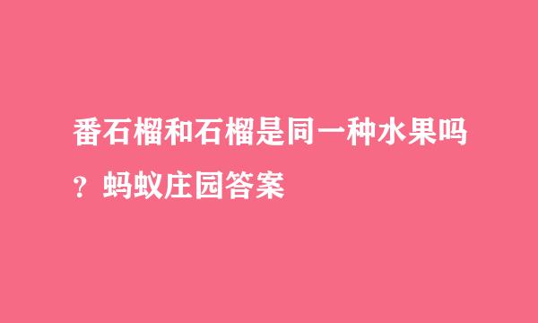 番石榴和石榴是同一种水果吗？蚂蚁庄园答案