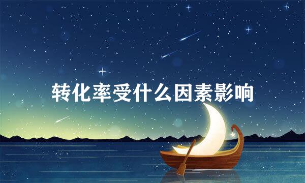 转化率受什么因素影响