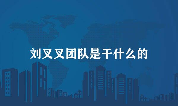 刘叉叉团队是干什么的