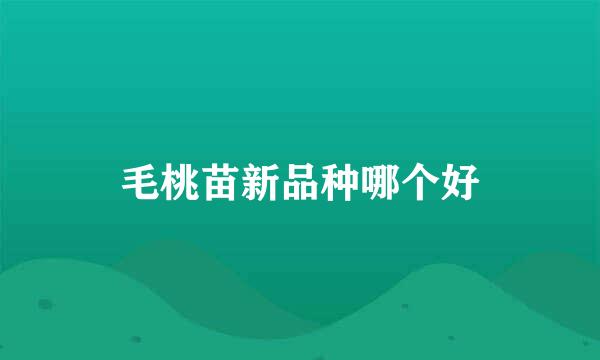 毛桃苗新品种哪个好
