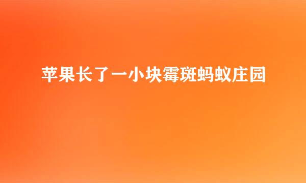 苹果长了一小块霉斑蚂蚁庄园