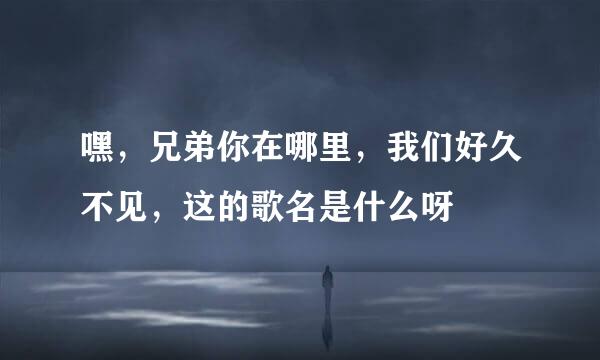 嘿，兄弟你在哪里，我们好久不见，这的歌名是什么呀