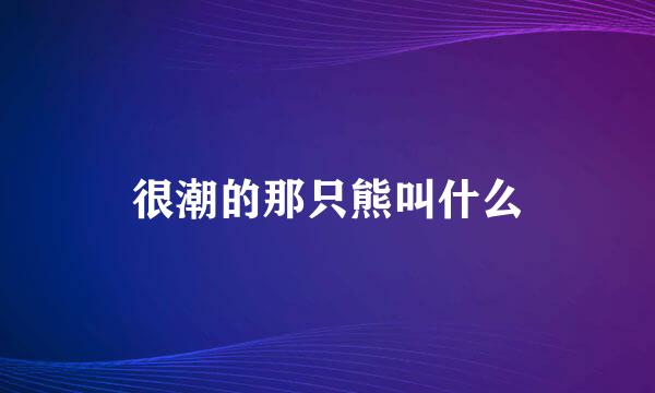 很潮的那只熊叫什么