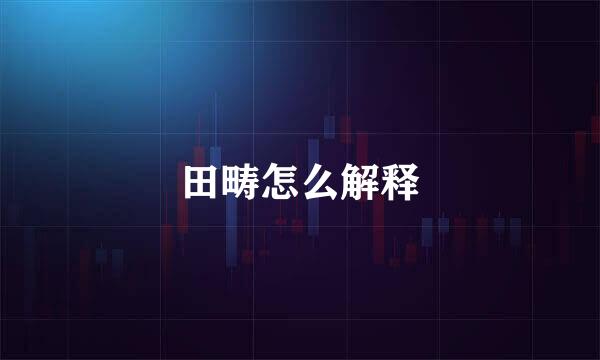 田畴怎么解释