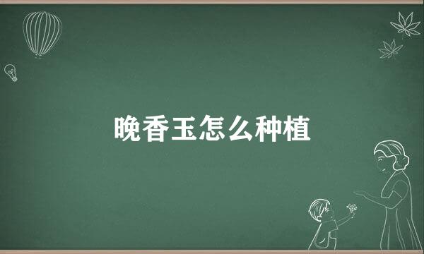 晚香玉怎么种植