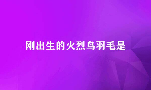 刚出生的火烈鸟羽毛是