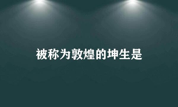 被称为敦煌的坤生是