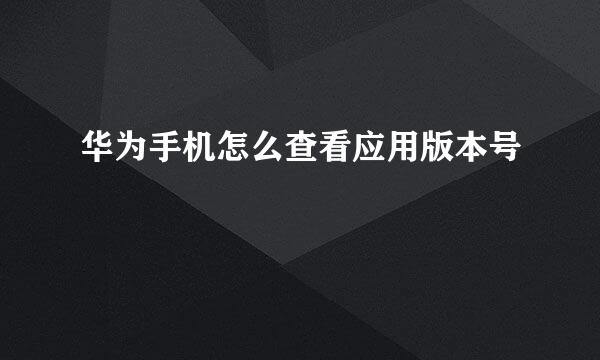 华为手机怎么查看应用版本号