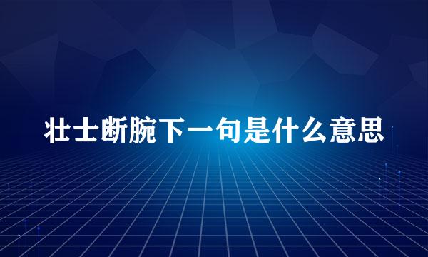 壮士断腕下一句是什么意思