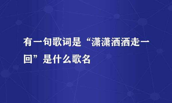 有一句歌词是“潇潇洒洒走一回”是什么歌名