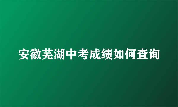 安徽芜湖中考成绩如何查询