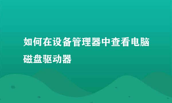 如何在设备管理器中查看电脑磁盘驱动器