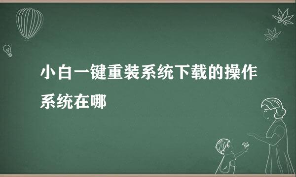 小白一键重装系统下载的操作系统在哪