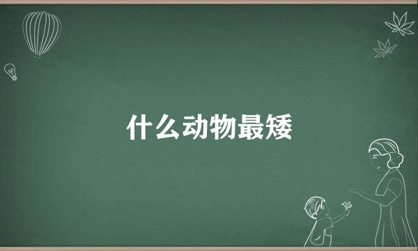 什么动物最矮