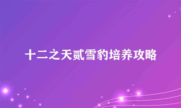 十二之天贰雪豹培养攻略