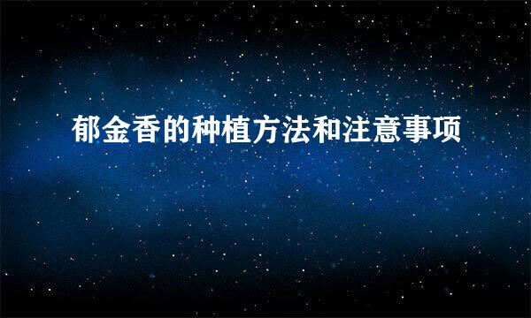 郁金香的种植方法和注意事项