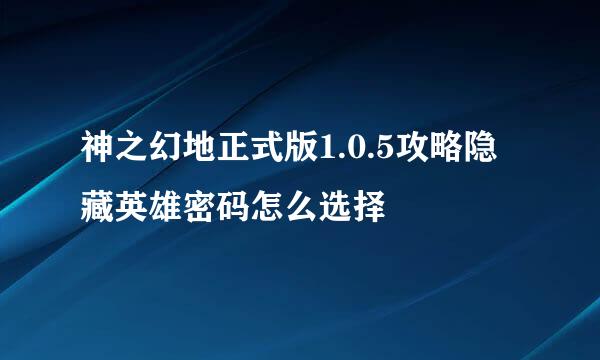 神之幻地正式版1.0.5攻略隐藏英雄密码怎么选择