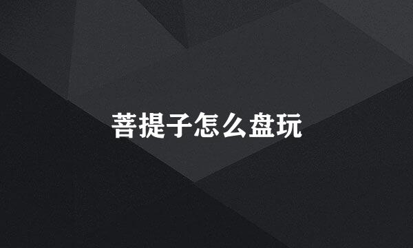 菩提子怎么盘玩