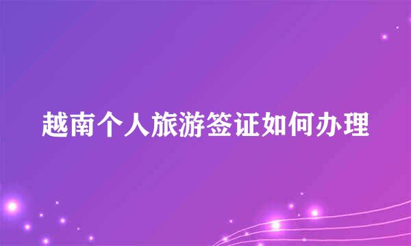 越南个人旅游签证如何办理
