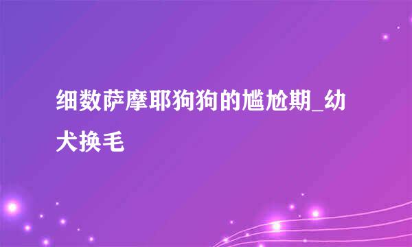 细数萨摩耶狗狗的尴尬期_幼犬换毛
