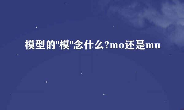 模型的