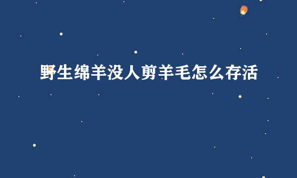 野生绵羊没人剪羊毛怎么存活