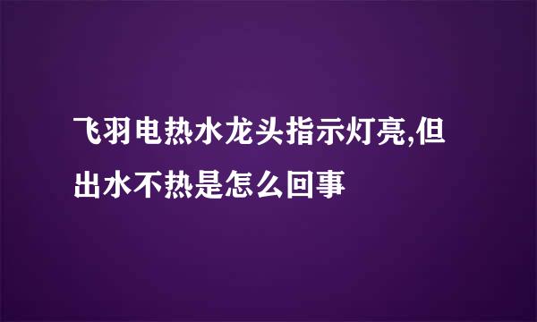 飞羽电热水龙头指示灯亮,但出水不热是怎么回事
