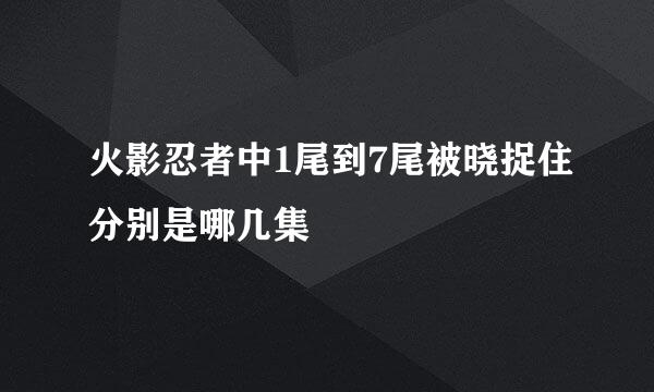 火影忍者中1尾到7尾被晓捉住分别是哪几集