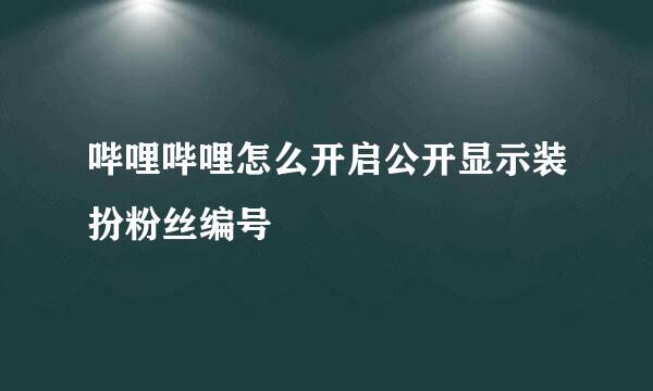 哔哩哔哩怎么开启公开显示装扮粉丝编号