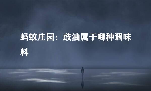 蚂蚁庄园：豉油属于哪种调味料