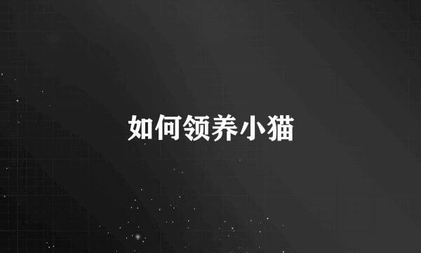 如何领养小猫