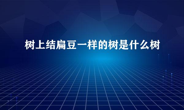 树上结扁豆一样的树是什么树