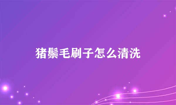 猪鬃毛刷子怎么清洗