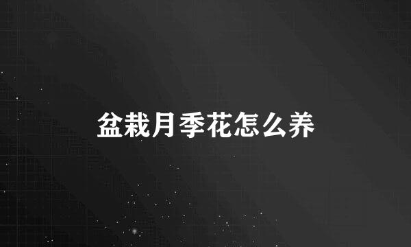 盆栽月季花怎么养