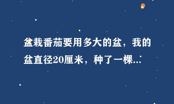 盆栽番茄要用多大的盆,我的盆直径20厘米,种了一棵,够营养吗